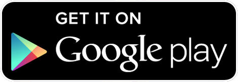 Google Store Icon